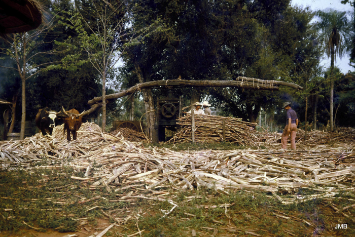 AÑO 1980 - COLOR - VIDA CAMPESINA EN PARAGUAY (JOSÉ MARÍA BLANCH)